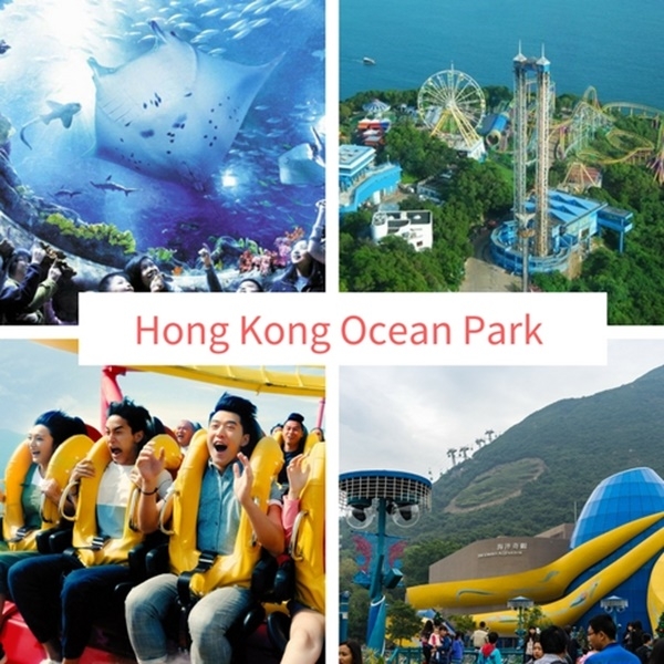 Ocean Park Hong Kong Daytime E-Ticket