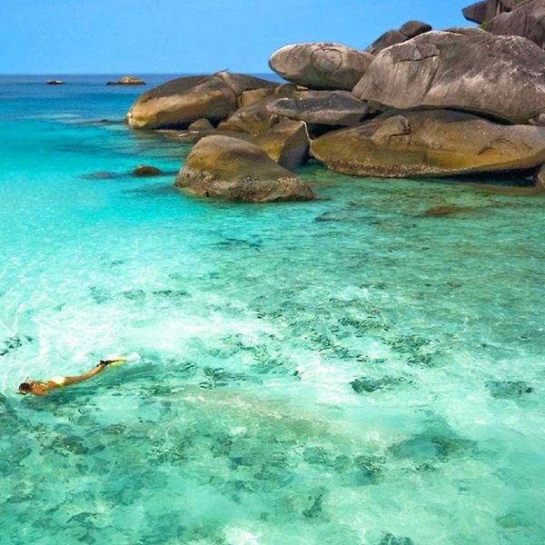 Similan Island: Full Day Snorkeling Tour by Speed Boat Depart from Phuket (Non - Thai)