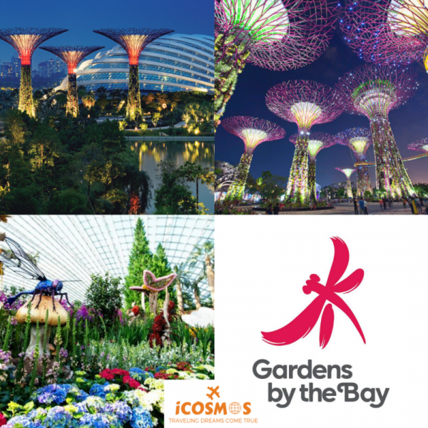 Singapore Gardens by the Bay (The Flower Dome + Cloud Forest)