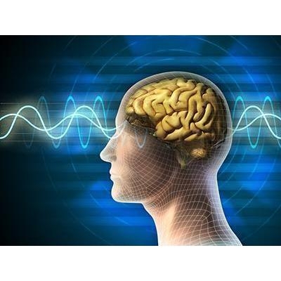 Mind Elevation Intelligence Information Psychology Screening Service (Korean product)
