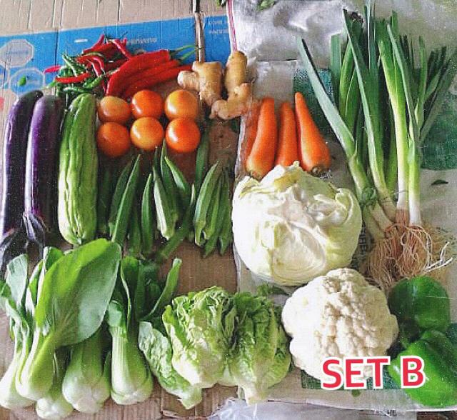 Fresh Vegetable Set B