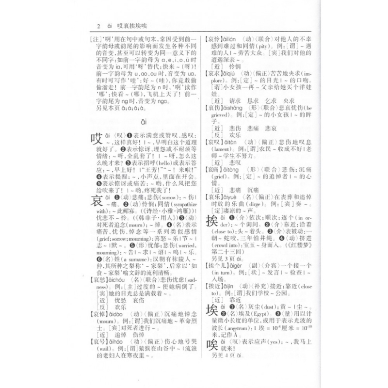 多功能汉语词典 (精装)