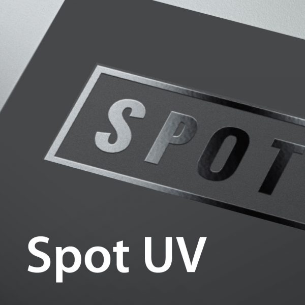 UV Spot 1 Side Name Card / Matt Lamination