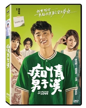 (飛行)痴情男子漢 DVD