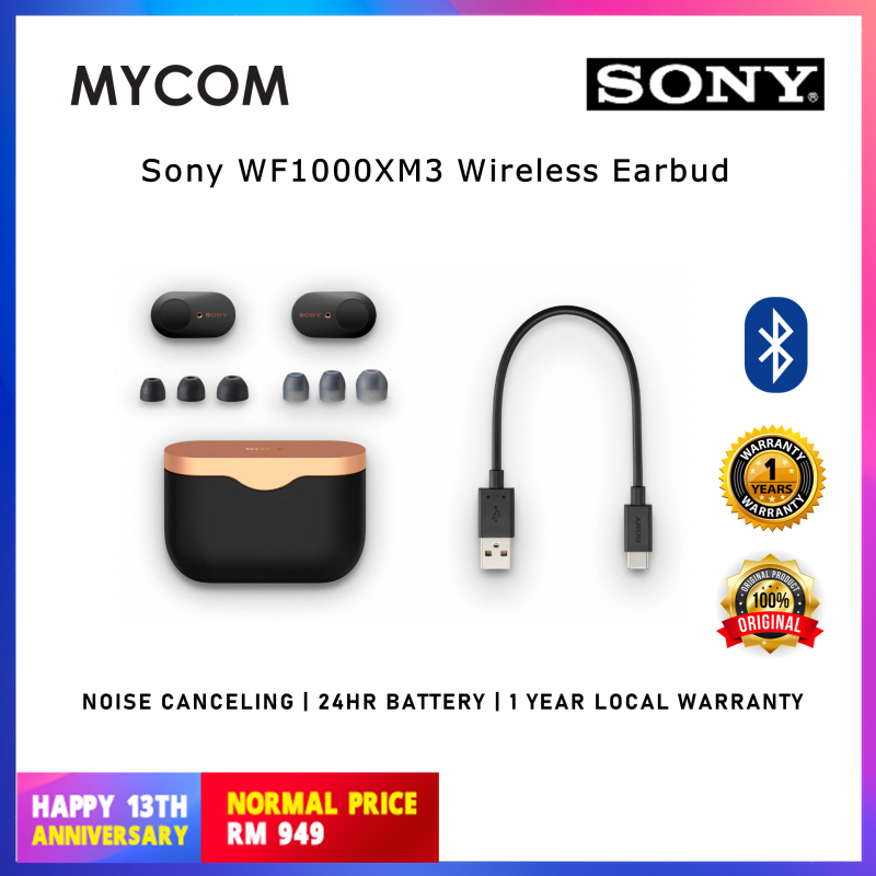 Sony WF-1000XM3 True Wireless Bluetooth Noise Canceling in-Ear Headphones-Black/Silver