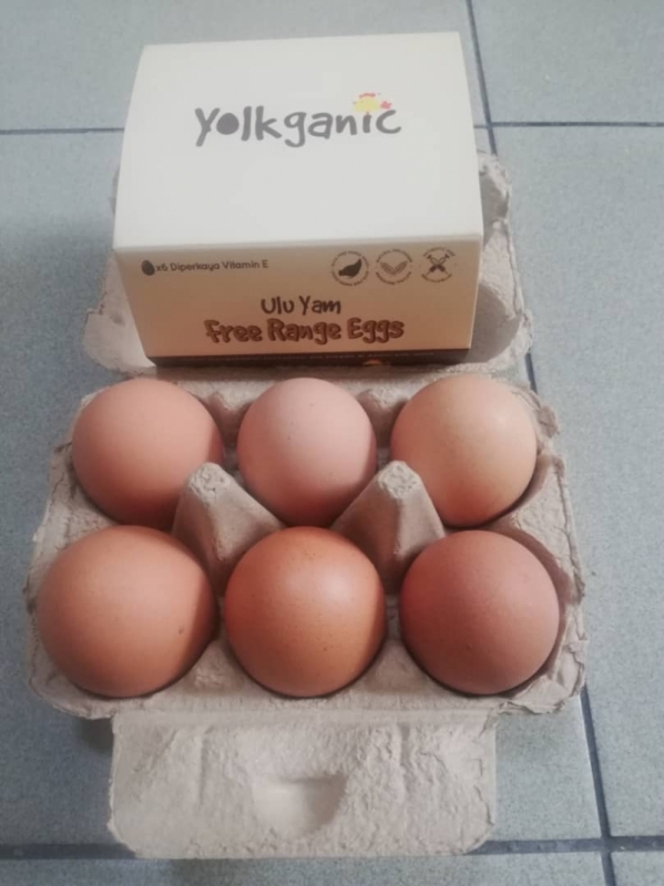 Yolkganic Egg ( 1 Box With 6 Eggs)