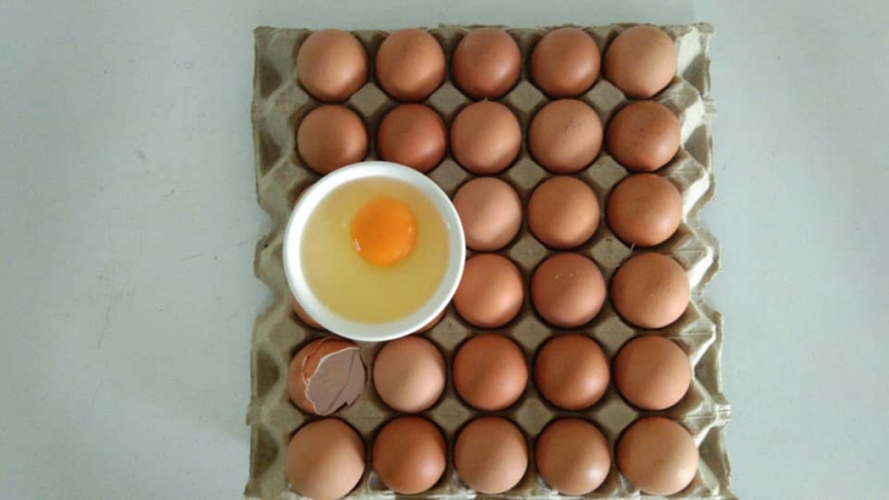Yolkganic Egg ( 1 Tray With 30 Eggs)