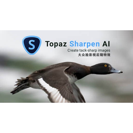 Topaz Sharpen AI v2.2.1