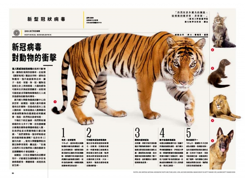 《國家地理》雜誌227期2020年10月號 National Geographic Chinese Edition October 2020 Volume 227
