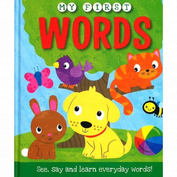 Board Book My First Words (ISBN: 9781785574771)