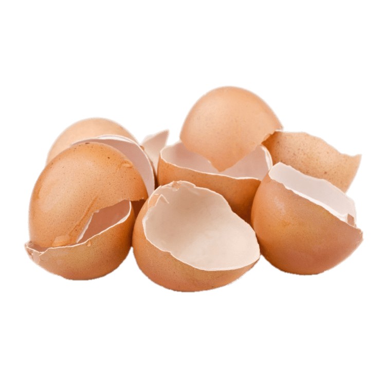 DRIED CHICKEN EGG SHELL POWDER/ EDIBLE CALCIUM SUPPLIMENTS FOR CANINE PETS, POULTRY BIRDS & AGRICULTURAL ORGANIC MANURE