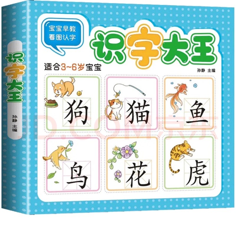 识字大王 儿童看图识字幼儿识字书 宝宝早教启蒙 Children\'s Baby Early Recognition Chinese Character Learning Book