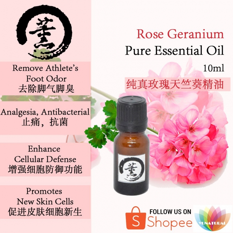 Rose Geranium Essential Oil 10ml