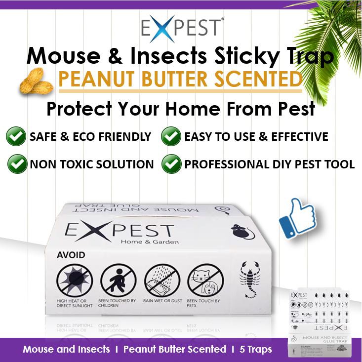 Peanut Butter Scented Glue Board Traps