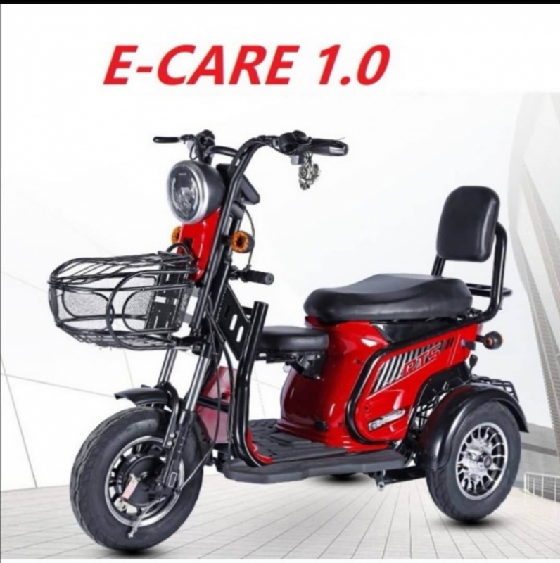 E Care 1.0 - 3 Wheel Electric Bike
