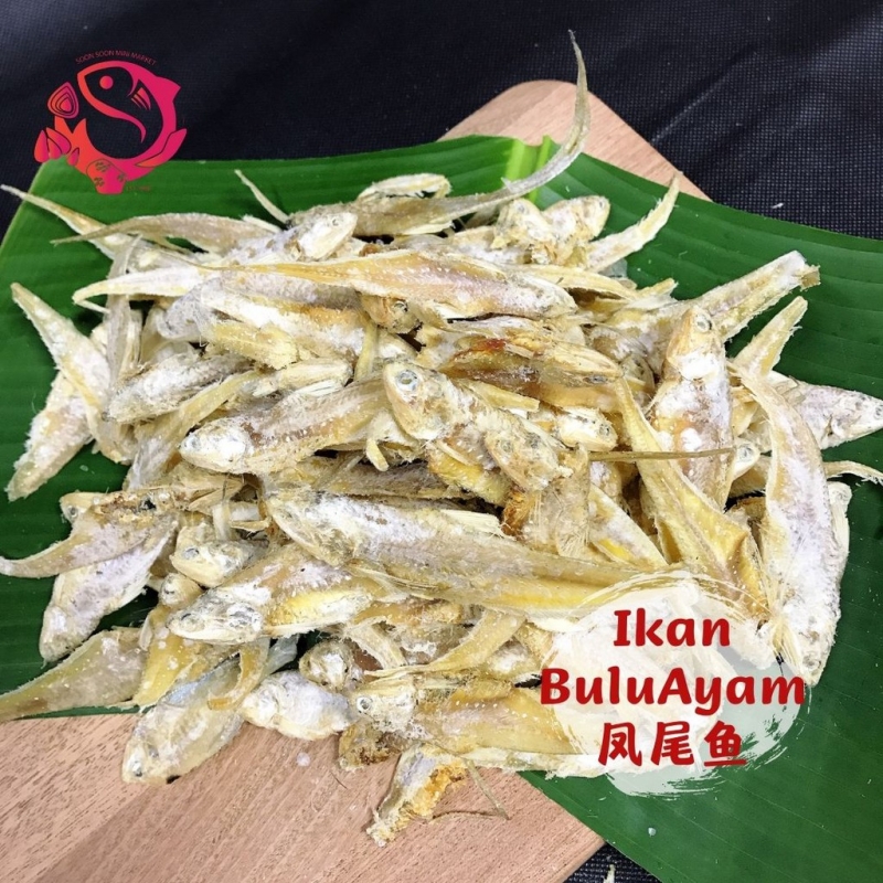 IM005 - Ikan Masin Bulu Ayam | Salted Fish | 凤尾鱼咸鱼干【100 - 500g】