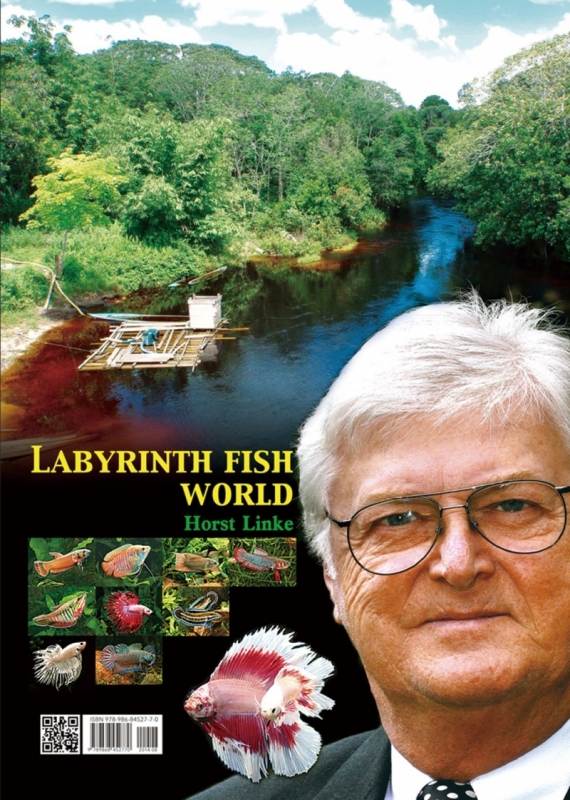 Labyrinth Fish World