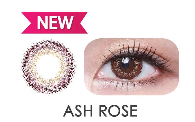 Horien Daily Disposable Ash Rose Color Contact Lens