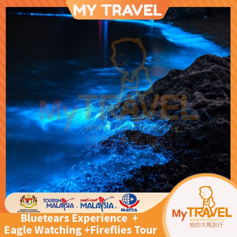 Kuala Selangor Eagle Watching + Fireflies Tour + Bluetears Experience