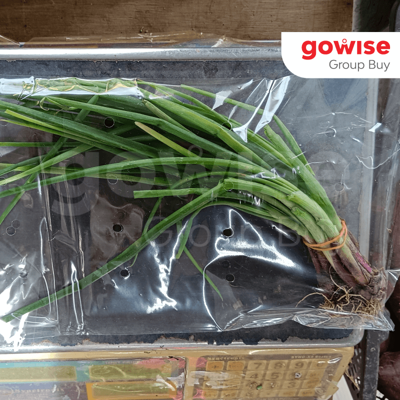 Spring Onion - (200-250g) x 1 Pack
