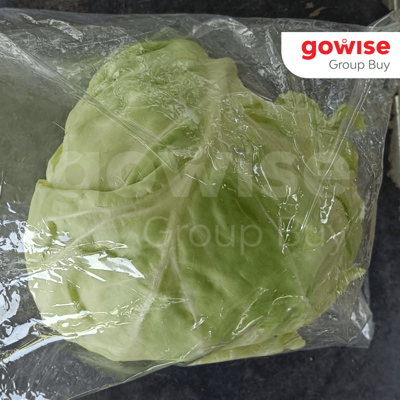 Round Cameron Cabbage ( 400g ) x 1 Pack