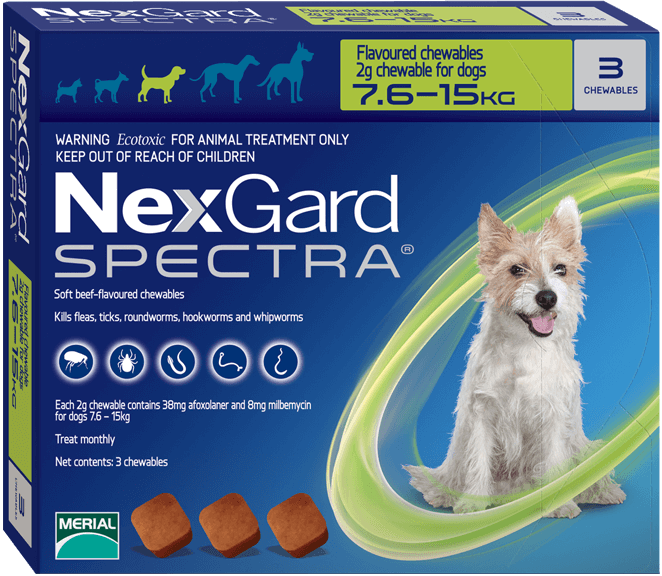 Nexgard Spectra Monthly Chewable Tablet for Medium Dogs (7.5 - 15kg ...