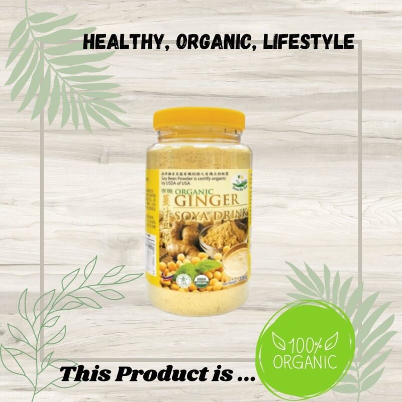 Organic Ginger Soya Drink