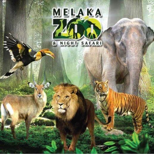 Melaka Zoo Night safari / Days (Adult only)