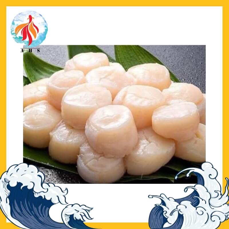 Frozen Hokkaido Scallop 500gm