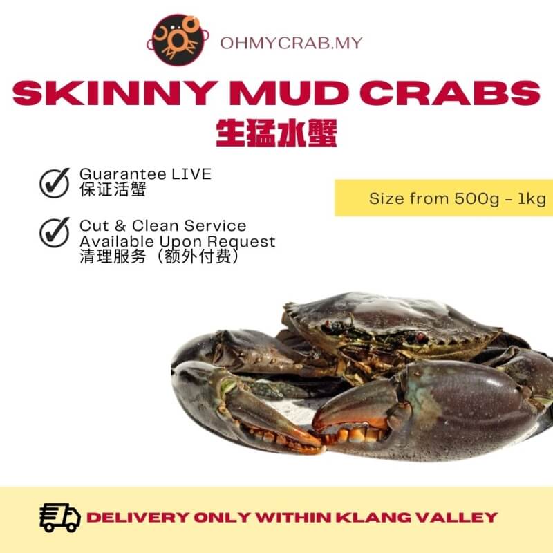 Live Skinny Mud Crab 500g - 1kg