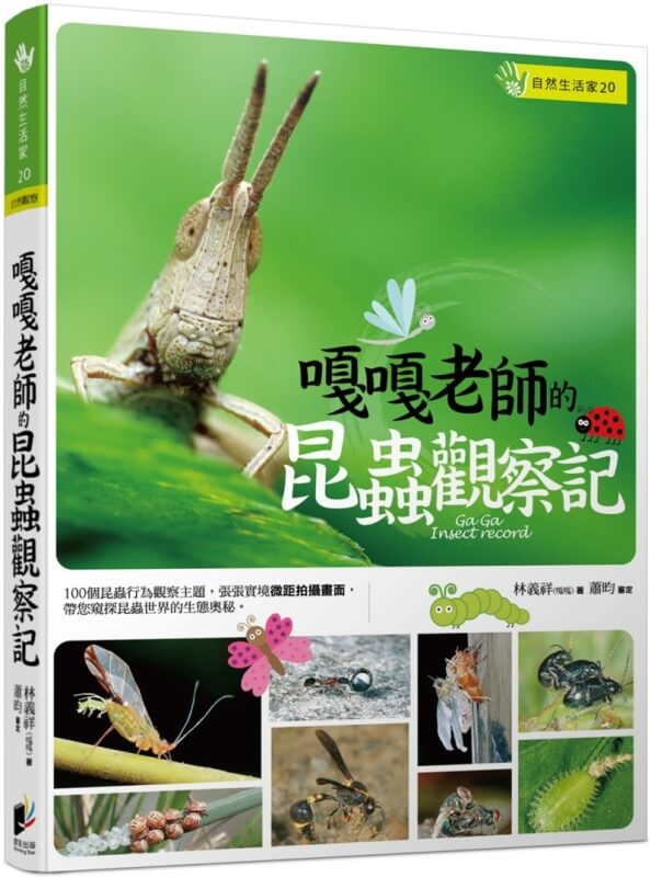嘎嘎老師的昆蟲觀察記