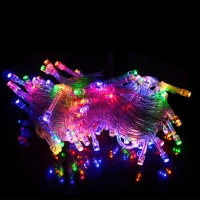 Celebrate Christmas Season with Color Changing LED Twinkle String Lights