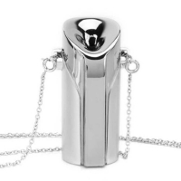 Personal Air Purifier Necklace Portable Freshener Wearable USB Charge Sound Phonograph (Silver)