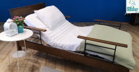 [Pre-Order] Comfort Solid Wood Electric Bed - Free Ensure Gold 400g