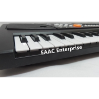 49 Key Electronic Keyboard Piano Organ With Microphone 2 Power Mode