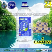 PACKAGE OF 5 CARTONS : DESA MINERAL WATER 9500ML X 2 BOTTLES