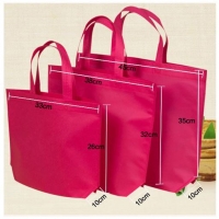 200 pieces Non Woven Bag / shopping bag / recycle bag 45cmx35cmx10cm print own design 环保袋