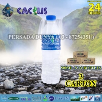PACKAGE OF 3 CARTONS : CACTUS MINERAL WATER 500ML X 24 BOTTLES