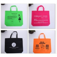 200 pieces Non Woven Bag / shopping bag / recycle bag 45cmx35cmx10cm print own design 环保袋