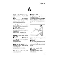 华小1.2.3年级国语生字字典（增修版）（学习马来文必备工具书）