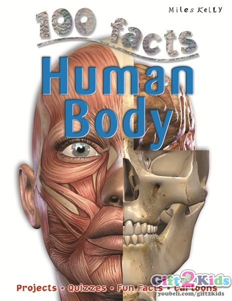 100 Facts Books Bugs Oceans Human Body Deadly Creatures