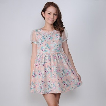 Fashion Flora Design Puffy Transparent Sleeve Mini Dress