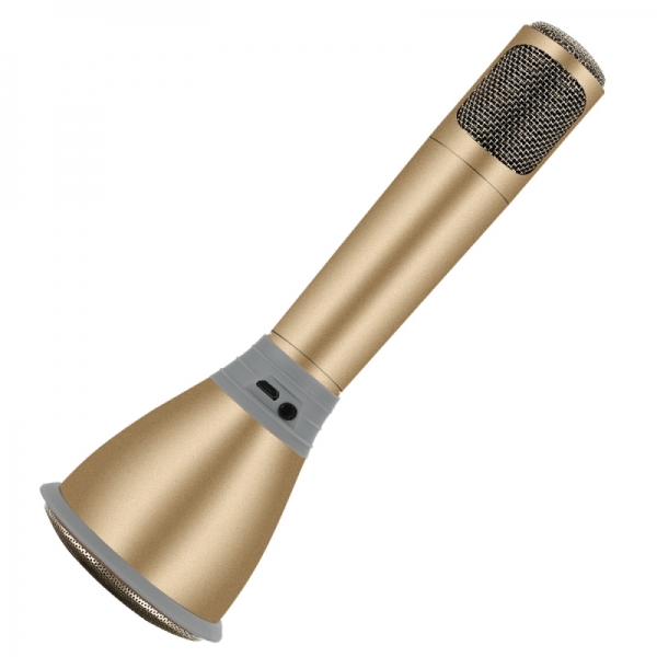 ORIGINAL TUXUN Portable Bluetooth Personal Microphone and Speaker (Champagne) Personal Karaoke