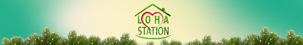 Loha Station