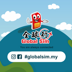 Global Sim