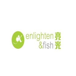 Enlighten & Fish