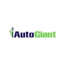 IAUTOGIANT OFFICIAL STORE