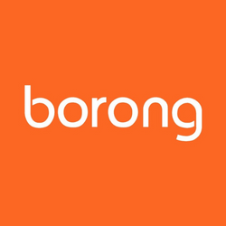 Borong