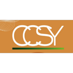 CCSY TECHNOLOGY